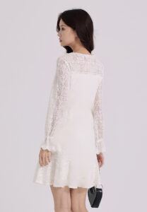 Ayilian a.yilian brushed lace dress